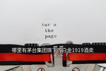 哪里有茅臺集團旗下的白金1919酒賣