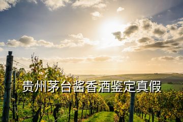 貴州茅臺(tái)醬香酒鑒定真假