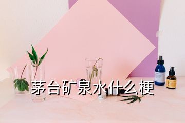 茅臺礦泉水什么梗