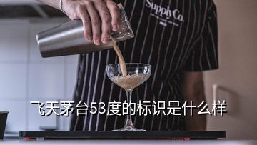 飛天茅臺53度的標(biāo)識是什么樣