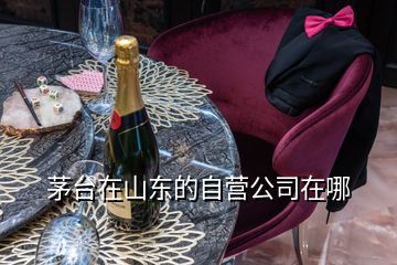 茅臺(tái)在山東的自營(yíng)公司在哪