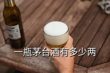 一瓶茅臺酒有多少兩