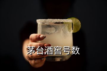 茅臺(tái)酒窖號(hào)數(shù)