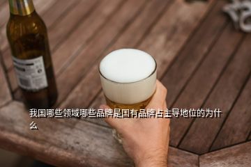 我國哪些領(lǐng)域哪些品牌是國有品牌占主導(dǎo)地位的為什么