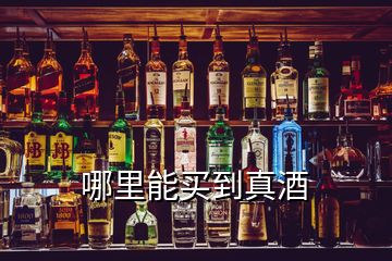 哪里能買(mǎi)到真酒