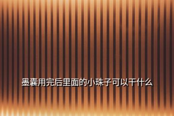 墨囊用完后里面的小珠子可以干什么