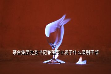 茅臺(tái)集團(tuán)黨委書記兼董事長(zhǎng)屬于什么級(jí)別干部