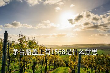 茅臺(tái)瓶蓋上有1568是什么意思