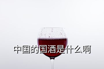 中國(guó)的國(guó)酒是什么啊