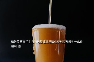 請教股票高手主力如何整理就是消化獲利盤都起到什么作用啊  搜