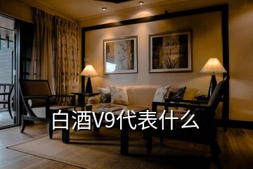 白酒V9代表什么