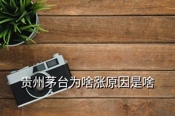 貴州茅臺(tái)為啥漲原因是啥