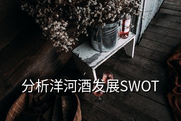 分析洋河酒發(fā)展SWOT