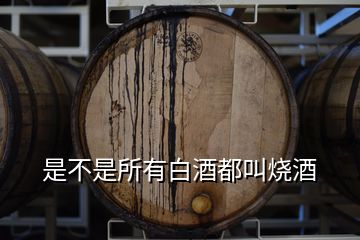 是不是所有白酒都叫燒酒