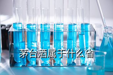 茅臺酒屬于什么省