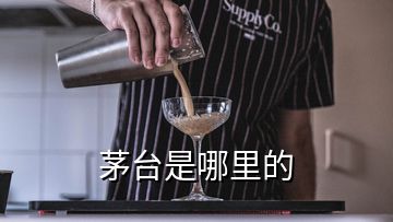 茅臺是哪里的