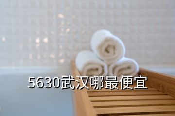 5630武漢哪最便宜