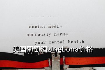 美國葡萄酒kingbona價格