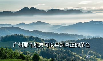 廣州那個(gè)地方可以買到真正的茅臺(tái)