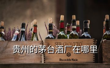 貴州的茅臺(tái)酒廠在哪里