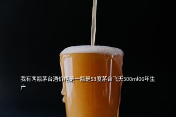 我有兩瓶茅臺酒價格是一瓶是53度茅臺飛天500ml06年生產