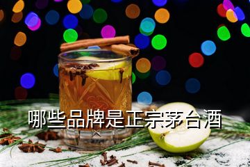 哪些品牌是正宗茅臺酒