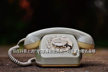 現(xiàn)在抖音上流行的那首歌歌詞有一句沒茅臺歌名是啥