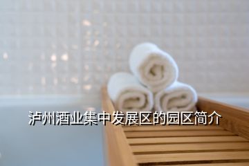 瀘州酒業(yè)集中發(fā)展區(qū)的園區(qū)簡介