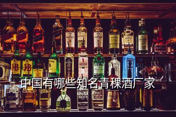 中國有哪些知名青稞酒廠家