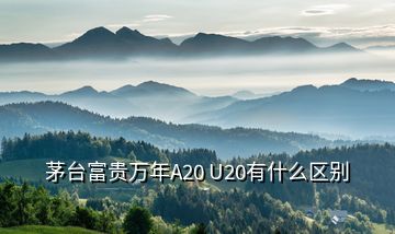 茅臺富貴萬年A20 U20有什么區(qū)別