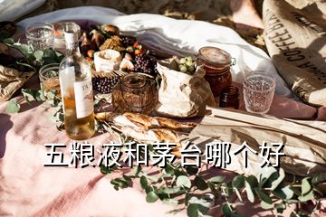 五糧液和茅臺哪個(gè)好