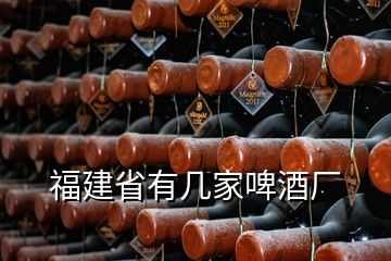 福建省有幾家啤酒廠