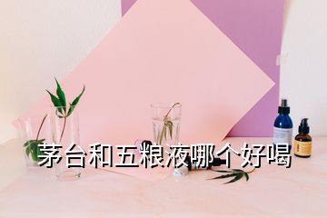 茅臺和五糧液哪個好喝