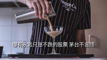 哪有永遠(yuǎn)只漲不跌的股票 茅臺不言頂