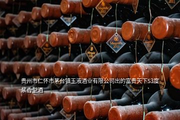 貴州市仁懷市茅臺鎮(zhèn)玉液酒業(yè)有限公司出的富貴天下53度漿香型酒