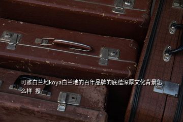 可雅白蘭地koya白蘭地的百年品牌的底蘊深厚文化背景怎么樣  搜