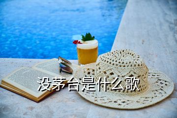 沒茅臺(tái)是什么歌