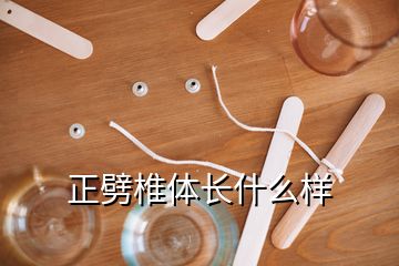 正劈椎體長(zhǎng)什么樣