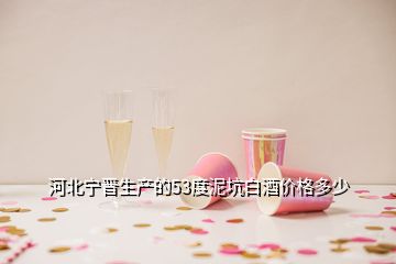 河北寧晉生產(chǎn)的53度泥坑白酒價格多少