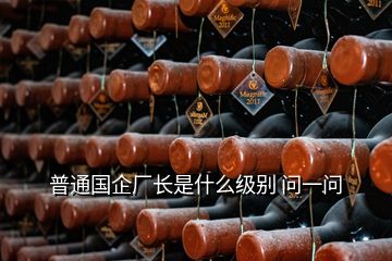 普通國(guó)企廠長(zhǎng)是什么級(jí)別 問(wèn)一問(wèn)