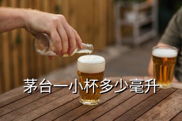 茅臺(tái)一小杯多少毫升