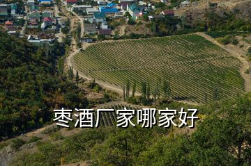 棗酒廠家哪家好