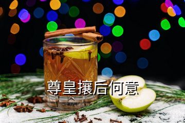 尊皇攘后何意