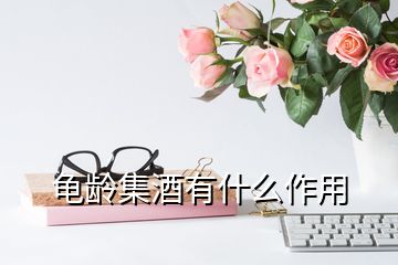 龜齡集酒有什么作用