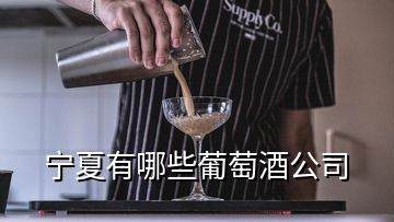 寧夏有哪些葡萄酒公司