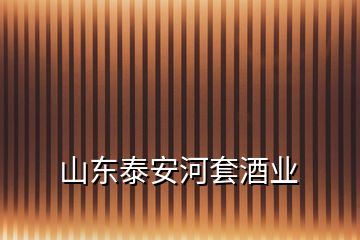 山東泰安河套酒業(yè)