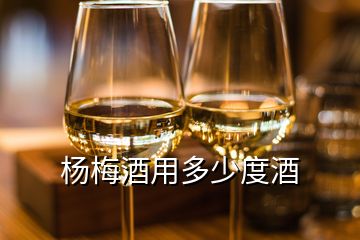 楊梅酒用多少度酒