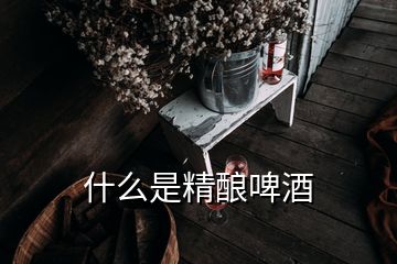 什么是精釀啤酒