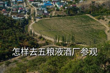 怎樣去五糧液酒廠參觀