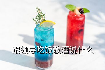 跟領(lǐng)導(dǎo)吃飯敬酒說什么